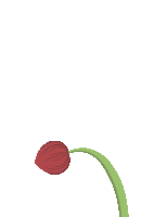 plant animation